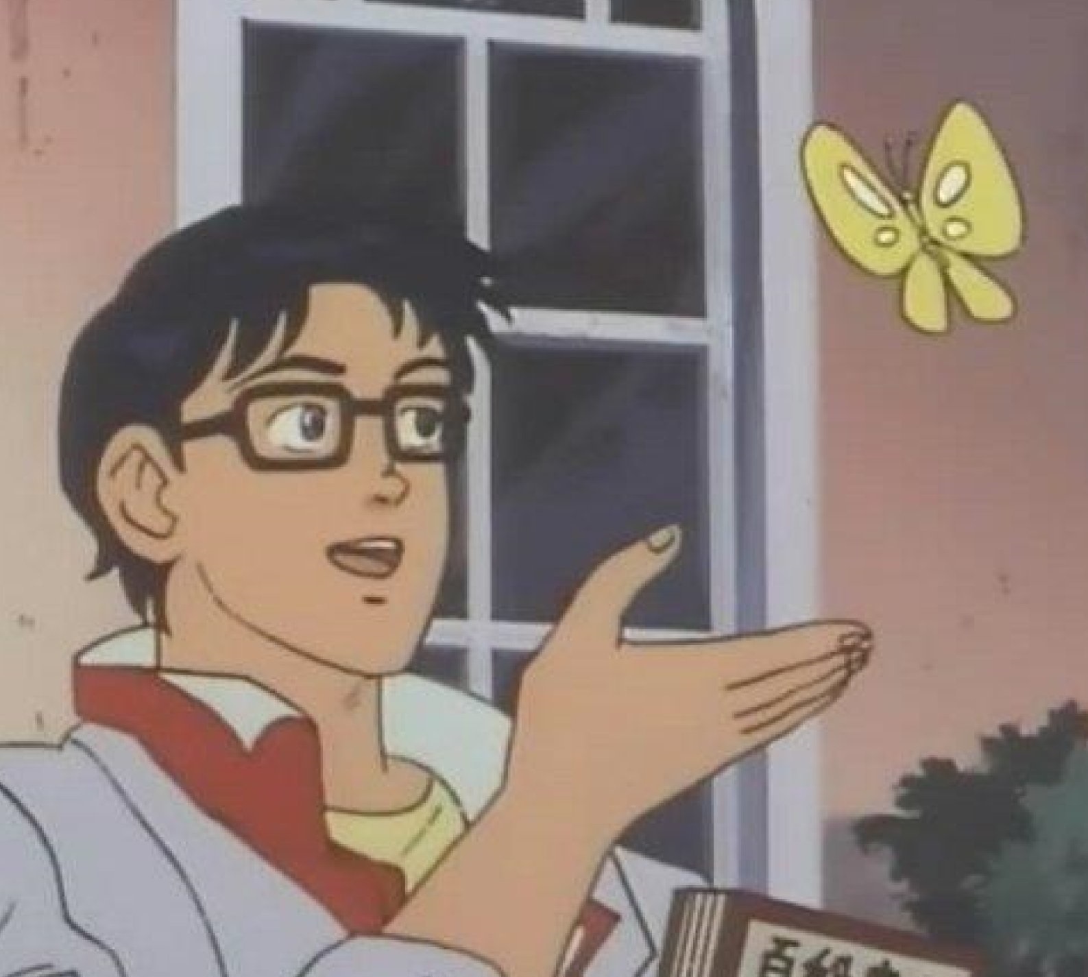 這是鴿子嗎 meme